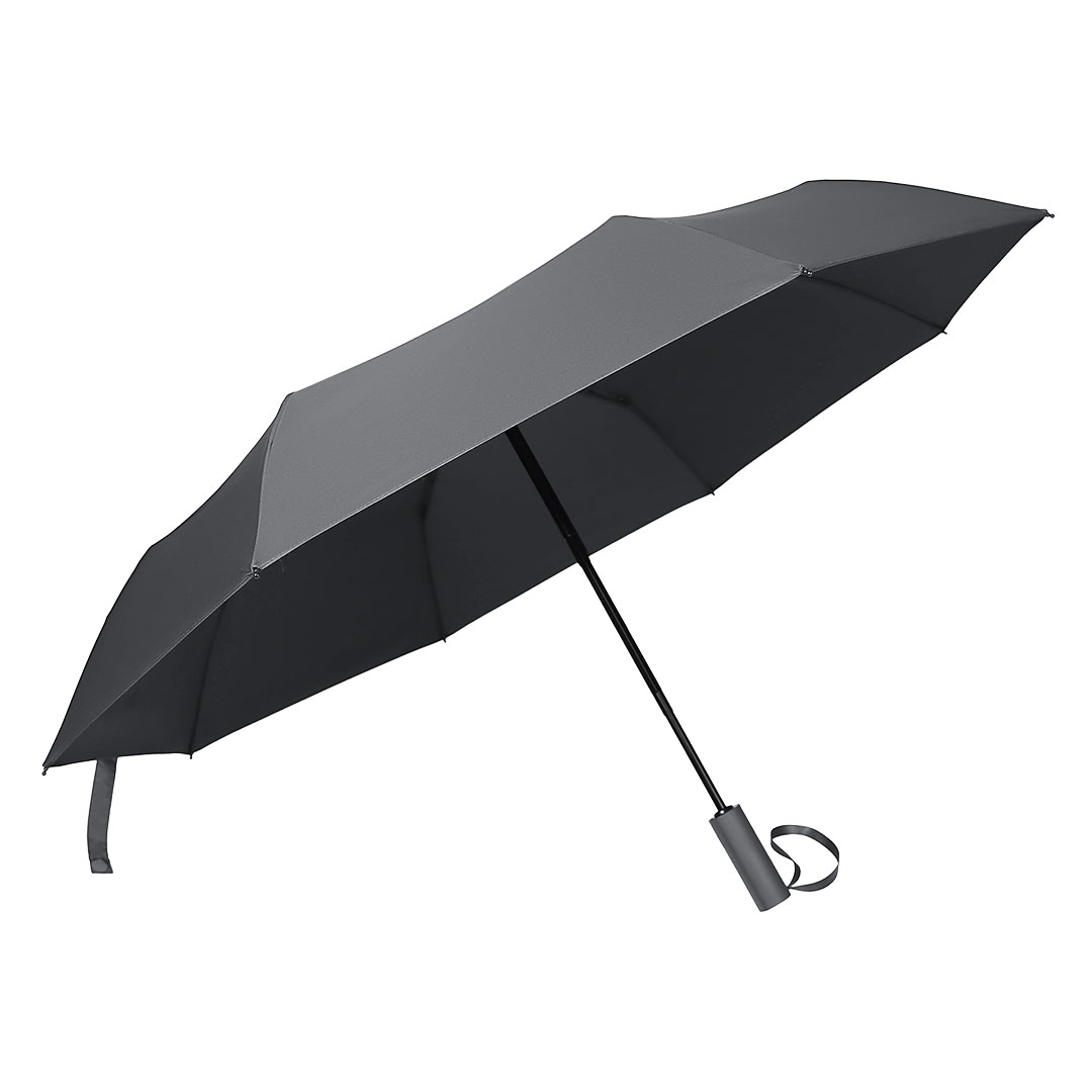 RAIN Siva