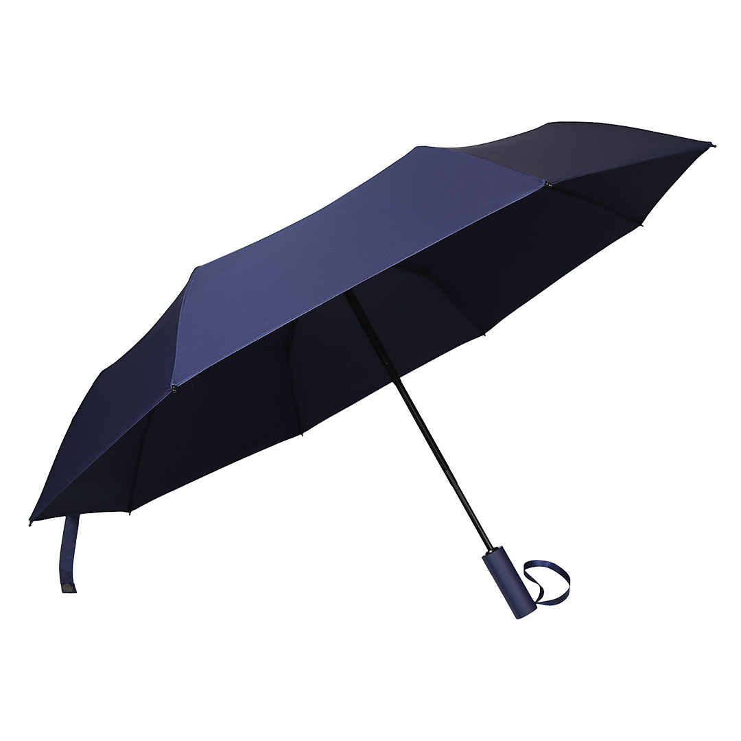 RAIN Plava